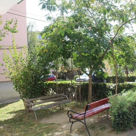 Апартаменты Apartament Anca Тыргу-Окна Экстерьер фото