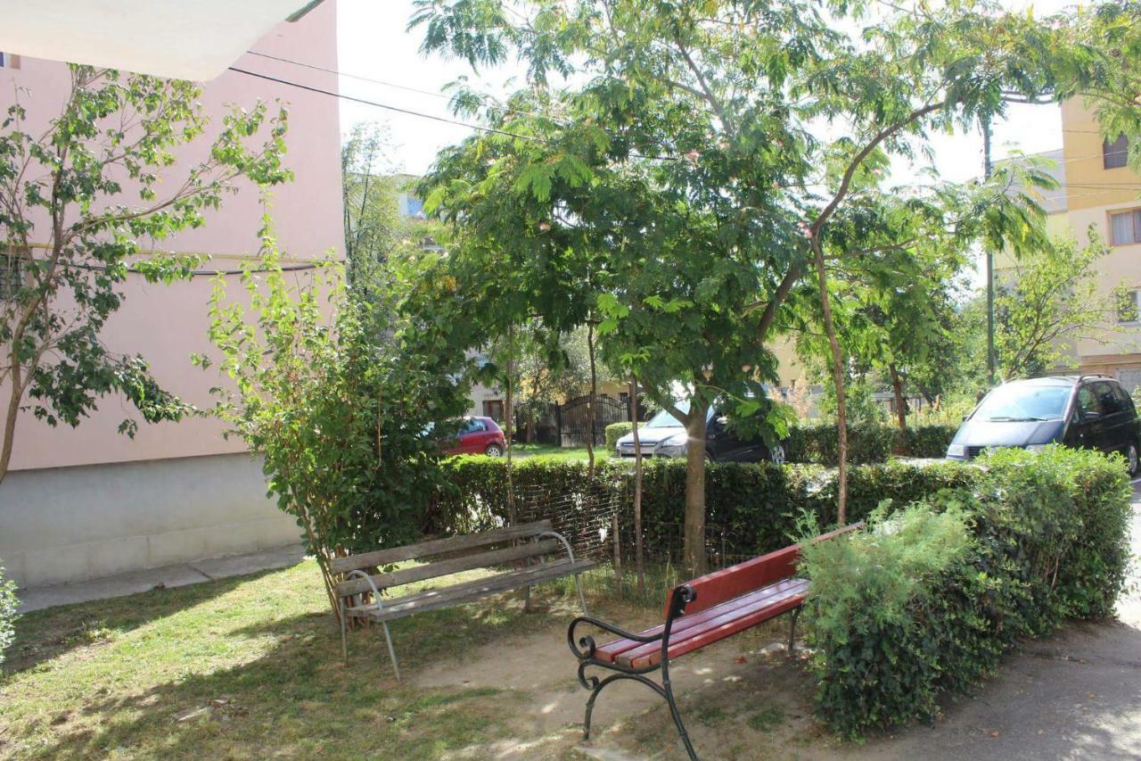 Апартаменты Apartament Anca Тыргу-Окна Экстерьер фото