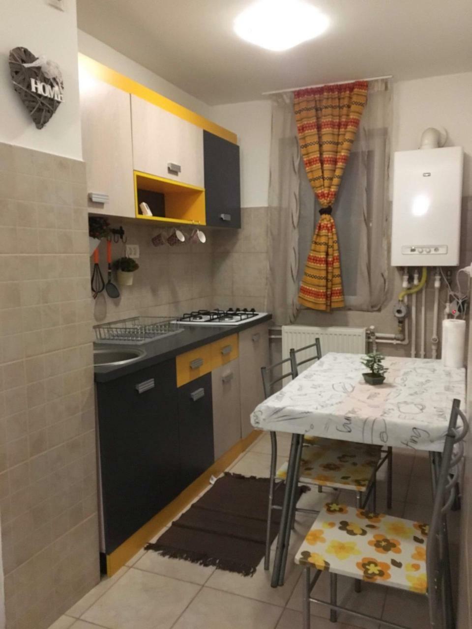 Апартаменты Apartament Anca Тыргу-Окна Экстерьер фото